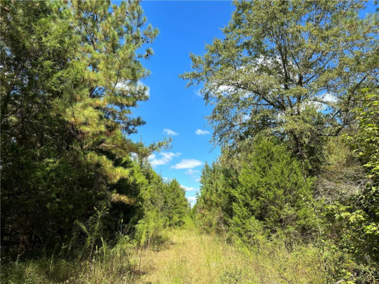 LOT 49A AL HIGHWAY 14, AUBURN, AL 36832, photo 2 of 12