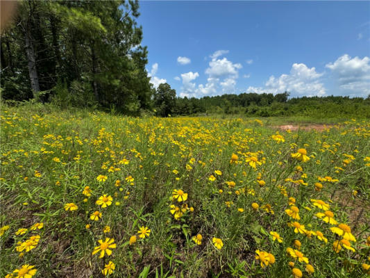 0 COUNTY ROAD 55, CAMP HILL, AL 36850 - Image 1